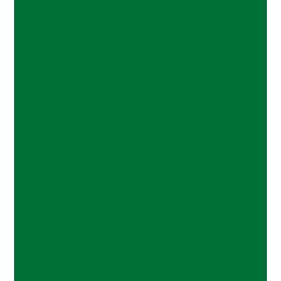 POLY-FLEX NYLON green š.50cm