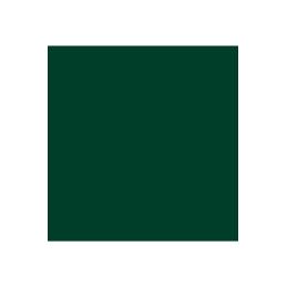 Oracal 8500 - 060 dark green